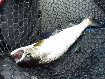 truth truth_news ブログ写真 2015/12/22