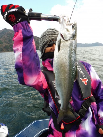 truth truth_news ブログ写真 2015/12/22