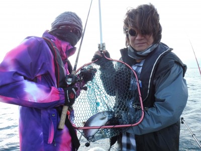 truth truth_news ブログ写真 2015/12/22