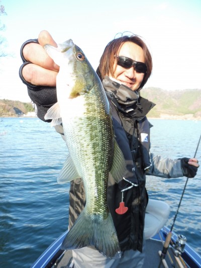 truth truth_news ブログ写真 2015/12/22