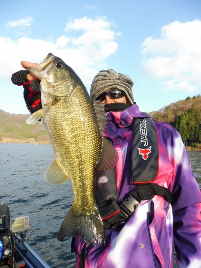 truth truth_news ブログ写真 2015/12/22