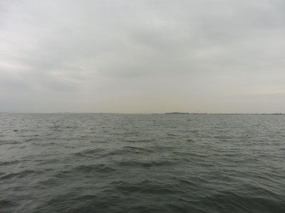 truth truth_news ブログ写真 2015/12/23