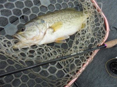 truth truth_news ブログ写真 2015/12/23