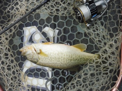 truth truth_news ブログ写真 2015/12/23