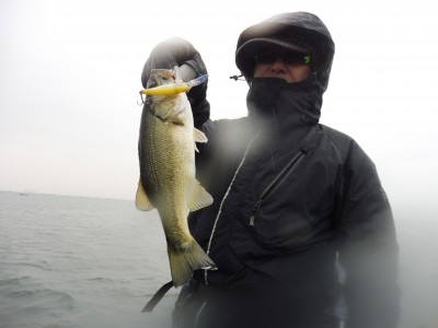 truth truth_news ブログ写真 2015/12/23