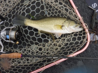 truth truth_news ブログ写真 2015/12/23