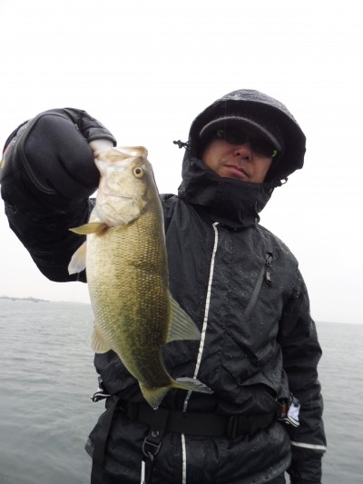 truth truth_news ブログ写真 2015/12/23