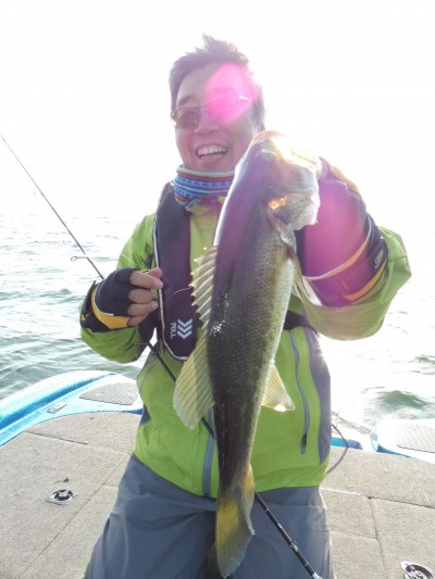 truth truth_news ブログ写真 2015/12/27