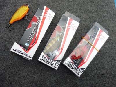 truth truth_news ブログ写真 2015/12/27