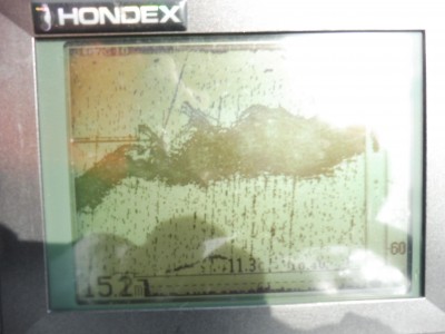 truth truth_news ブログ写真 2016/01/06