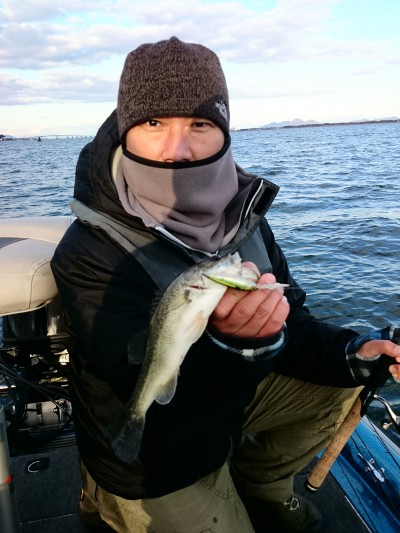 truth truth_news ブログ写真 2016/01/09