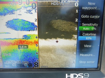 truth truth_news ブログ写真 2016/01/14