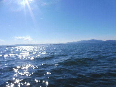 truth truth_news ブログ写真 2016/01/15