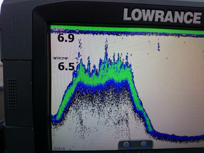 truth truth_news ブログ写真 2016/01/21
