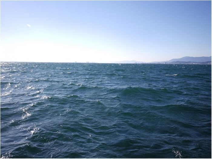 truth ブログ写真 2017/12/18