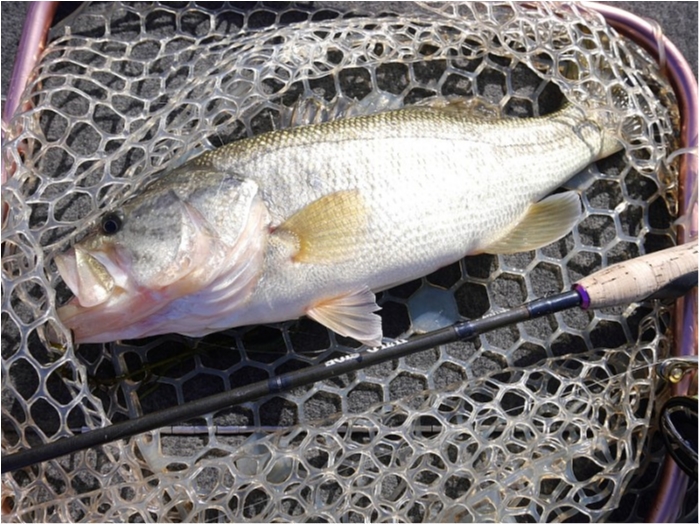 truth  ブログ写真 2017/12/20