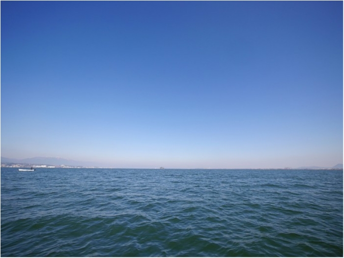 truth  ブログ写真 2017/12/22