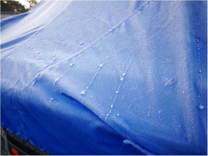 truth  ブログ写真 2017/12/22