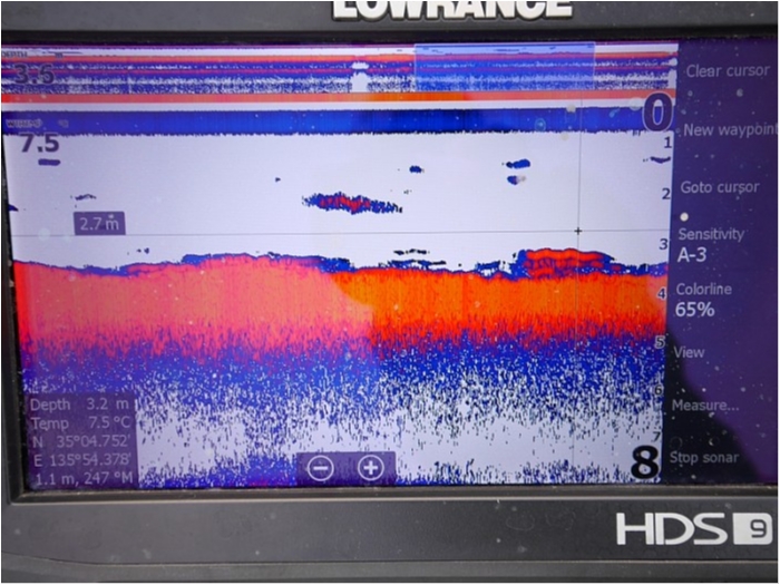 truth ブログ写真 2017/12/24