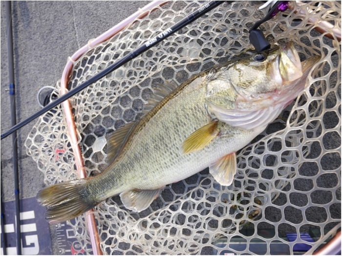 truth ブログ写真 2017/12/24