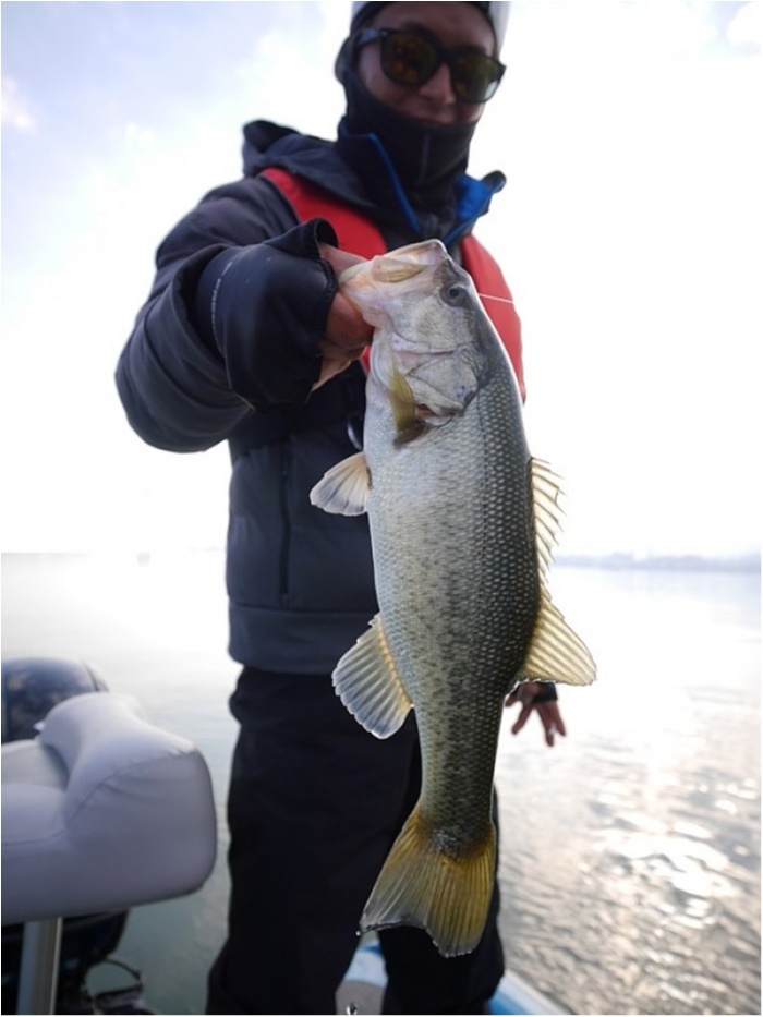 truth ブログ写真 2017/12/24