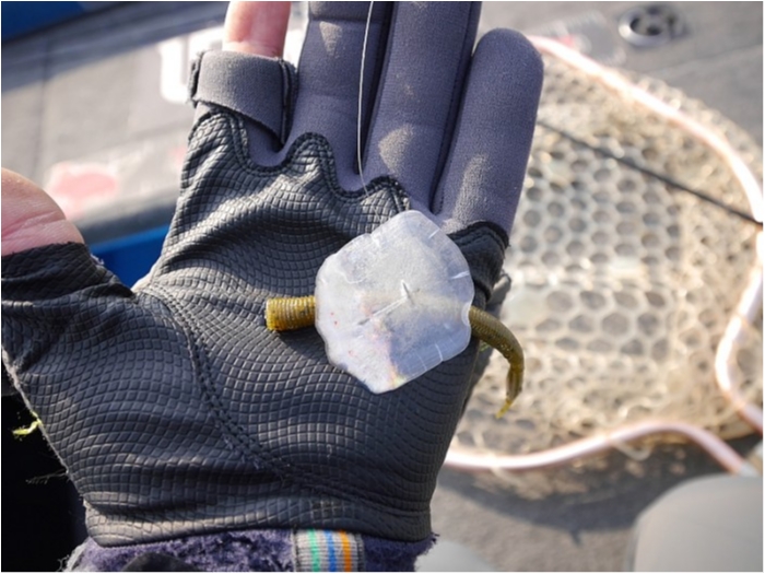 truth ブログ写真 2017/12/24