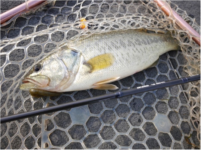 truth ブログ写真 2017/12/24