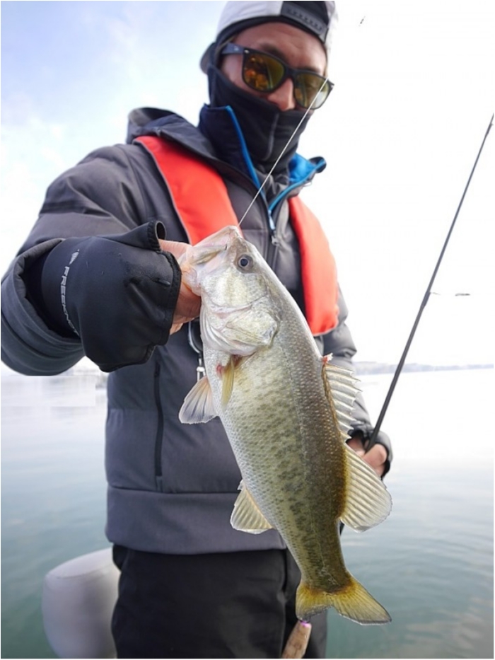 truth ブログ写真 2017/12/24