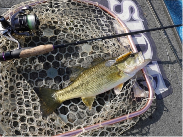 truth ブログ写真 2018/01/02