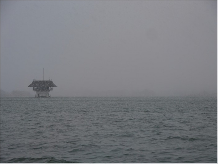 truth ブログ写真 2018/01/03