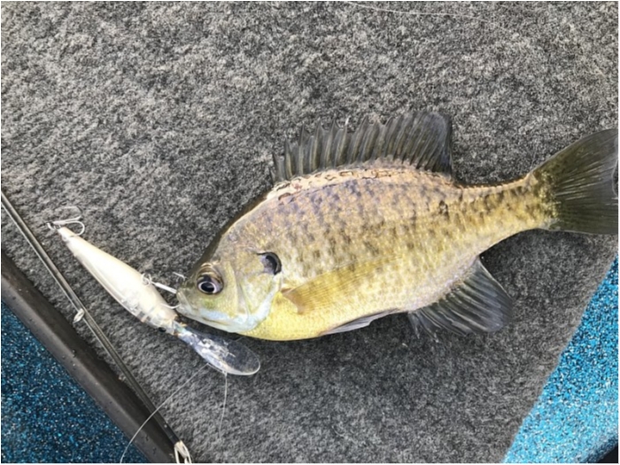 truth ブログ写真 2018/01/04