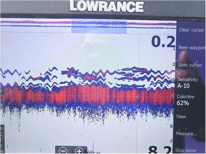 truth ブログ写真 2018/01/07