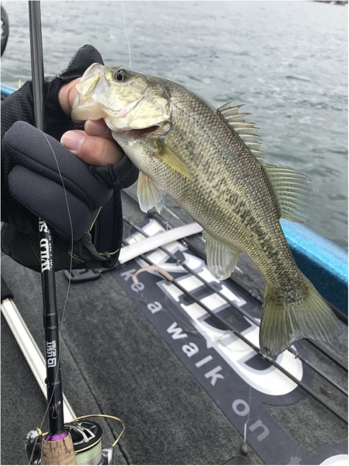 truth ブログ写真 2018/01/07