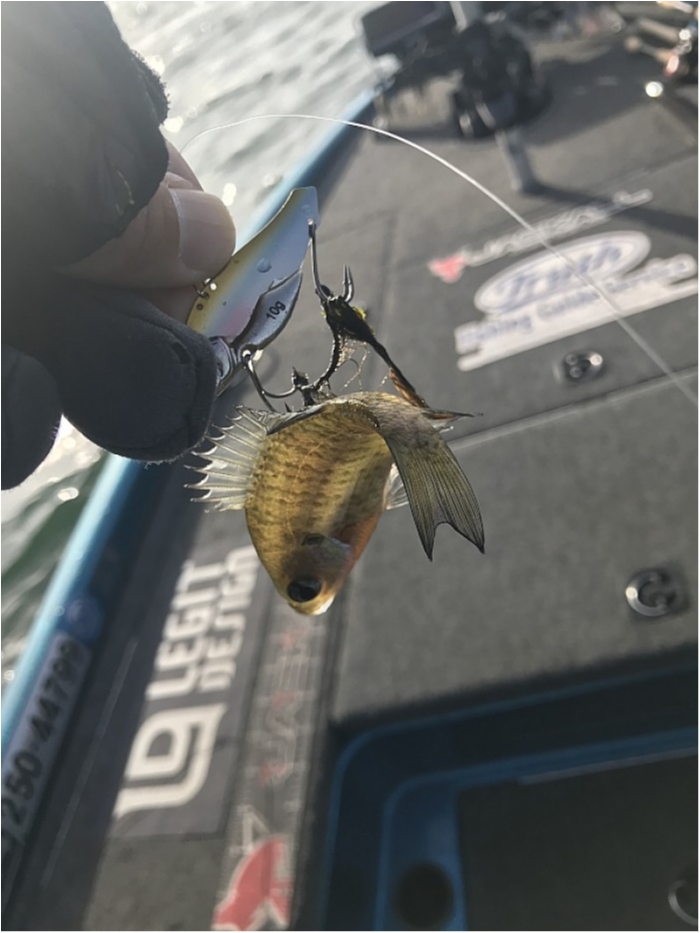 truth ブログ写真 2018/01/07