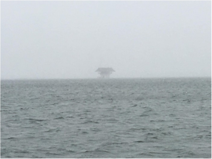 truth ブログ写真 2018/02/17