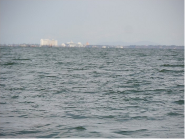 truth ブログ写真 2018/02/19