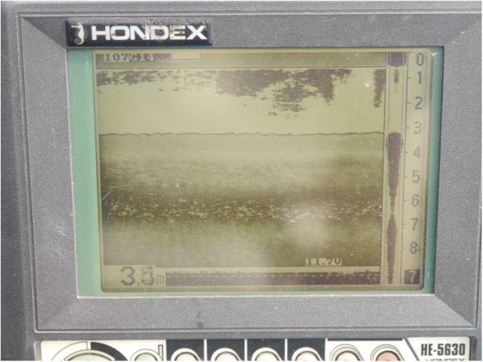 truth ブログ写真 2018/02/19