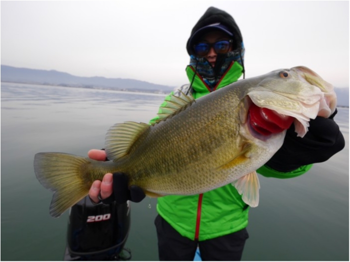 truth ブログ写真 2018/02/21