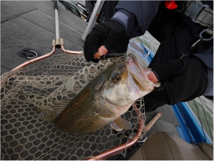 truth  ブログ写真 2018/03/02