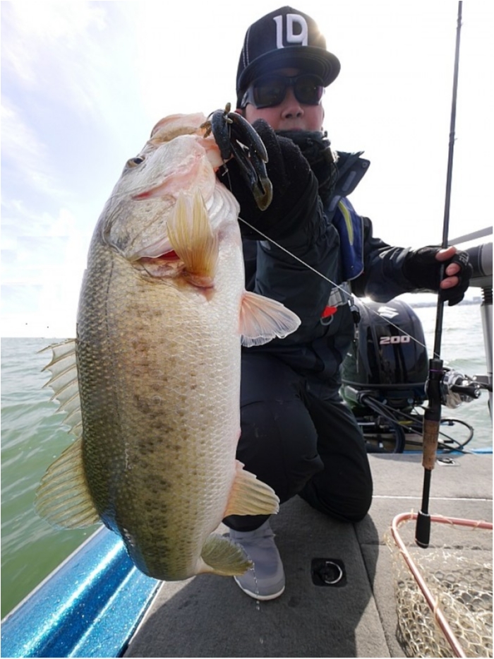 truth  ブログ写真 2018/03/02