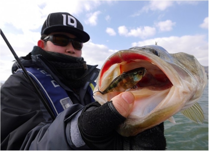 truth  ブログ写真 2018/03/02