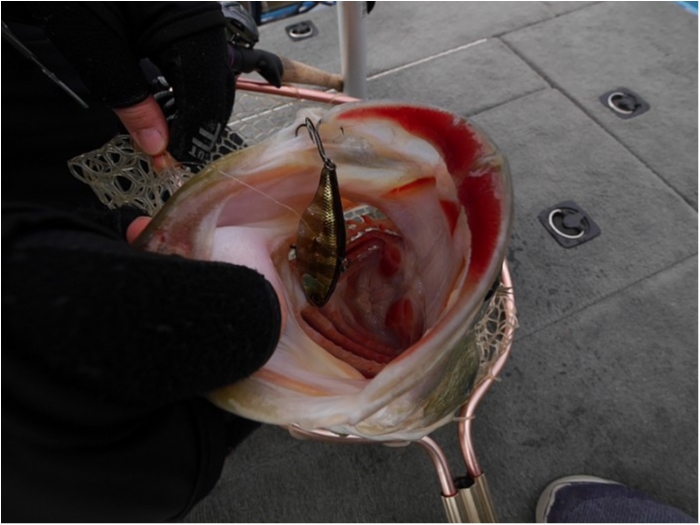 truth  ブログ写真 2018/03/02