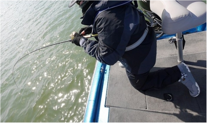 truth  ブログ写真 2018/03/02