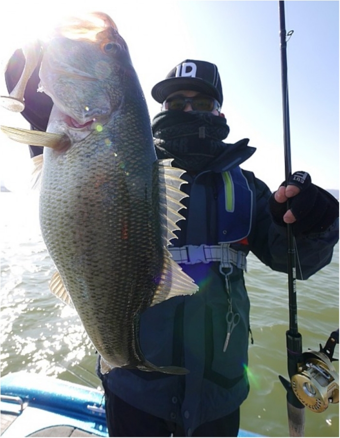 truth  ブログ写真 2018/03/02