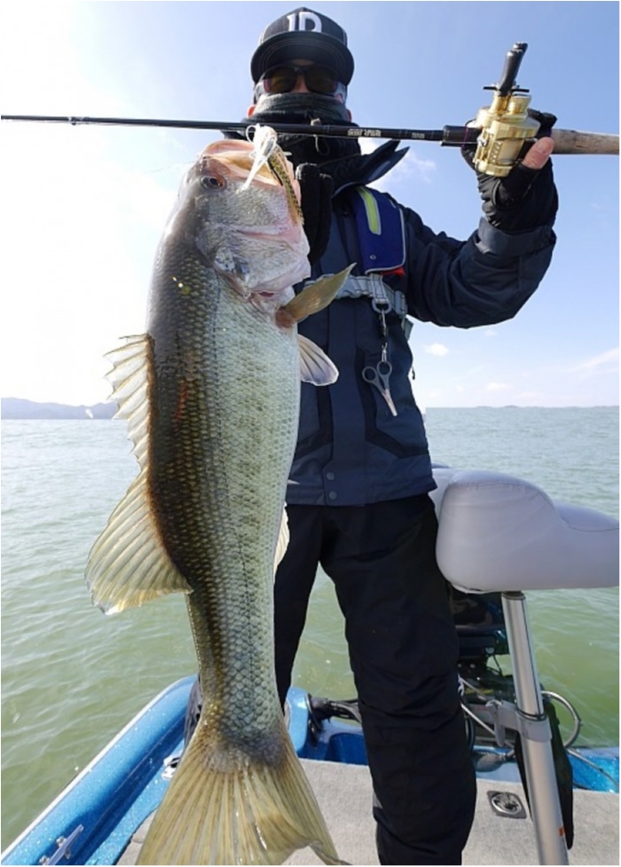 truth  ブログ写真 2018/03/02