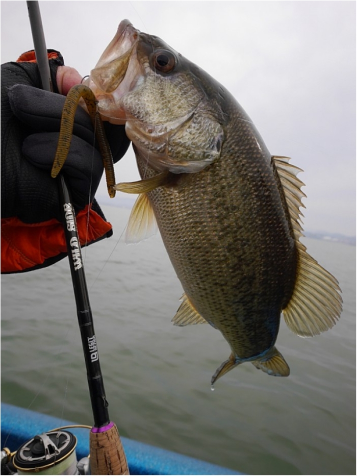 truth  ブログ写真 2018/03/03