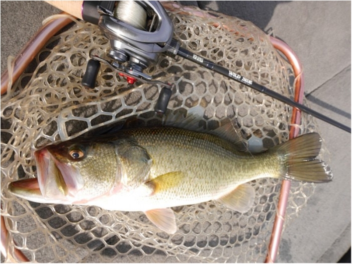 truth  ブログ写真 2018/03/03