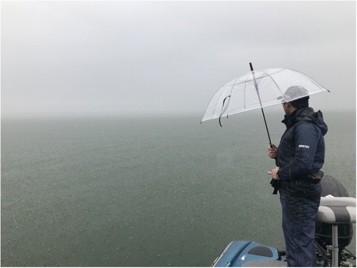 truth  ブログ写真 2018/03/05