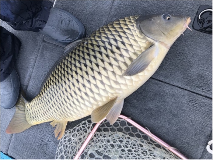 truth  ブログ写真 2018/03/05