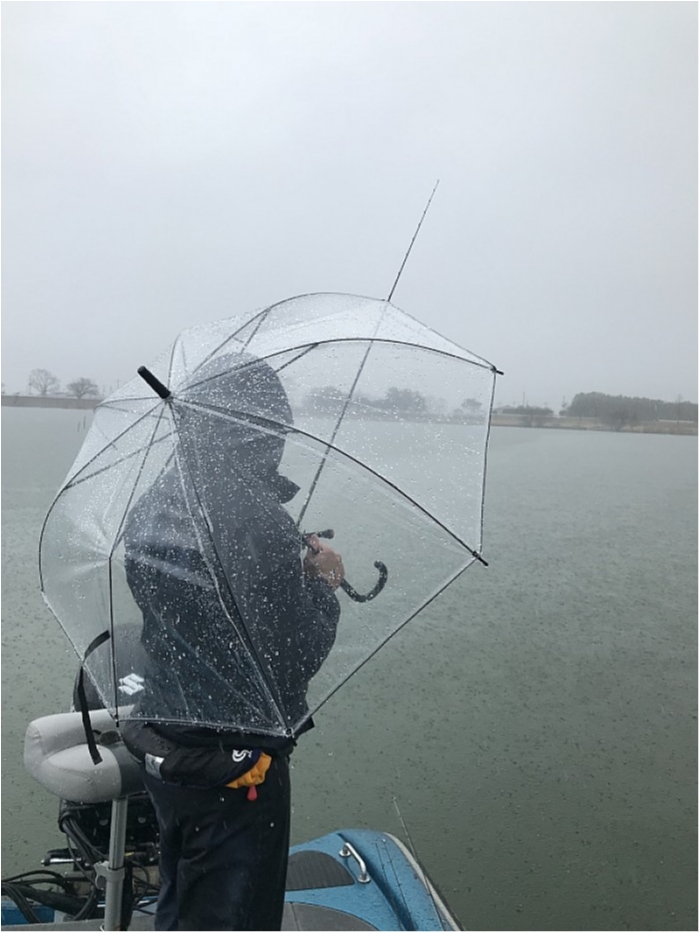 truth  ブログ写真 2018/03/05